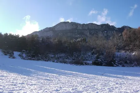 Vista montaña nevada
